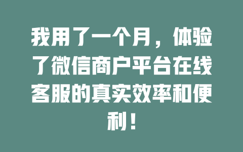 我用了一个月，体验了微信商户平台在线客服的真实效率和便利！-在线客服