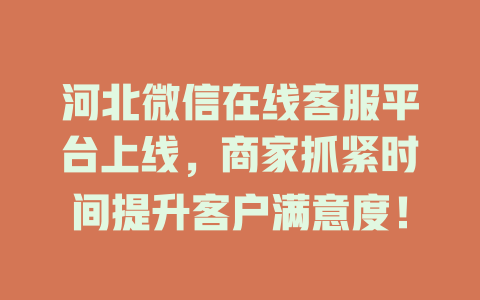 河北微信在线客服平台上线，商家抓紧时间提升客户满意度！-在线客服