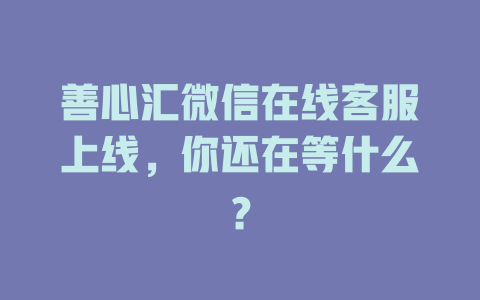 善心汇微信在线客服上线，你还在等什么？-在线客服